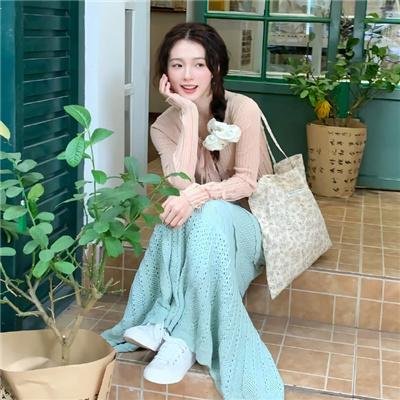 花园蜘蛛
